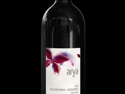 Aria — köz üstünde